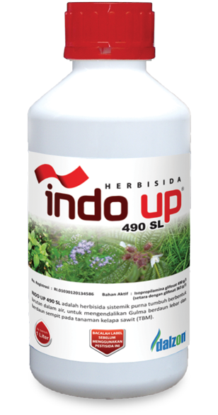 indo-up